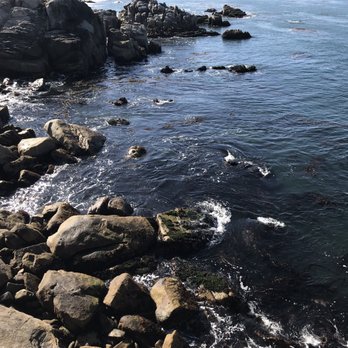 Lovers Point Park - Parks Near Me - Pacific Grove, California Lovers Point Park - Parks Near Me - Pacific Grove, California