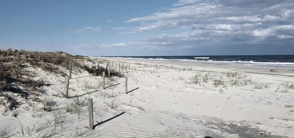 Huntington Beach State Park by null