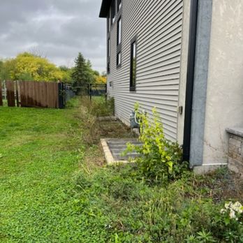 Northstar Premium Property Care - Before weed abatement. - Lawn Services Near Me - Faribault, Minnesota Northstar Premium Property Care - Before weed abatement. - Lawn Services Near Me - Faribault, Minnesota