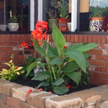El Nopal Mexican Restaurant - Flowers by outdoor seating - Mexican Near Me - Hopewell, Virginia El Nopal Mexican Restaurant - Flowers by outdoor seating - Mexican Near Me - Hopewell, Virginia