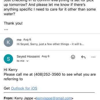 Cupertino Florist - 5/5 Day before pick up; they forgot the order - Florists Near Me - San Jose, California