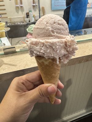 Mora Iced Creamery by null