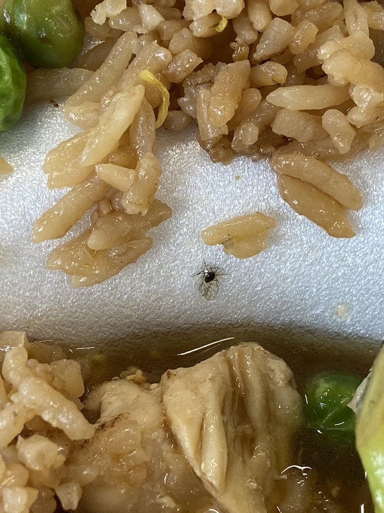 WINGS & KABOB Updated June 2024 14 Photos & 17 Reviews 5812 Crawfordsville Rd, Speedway