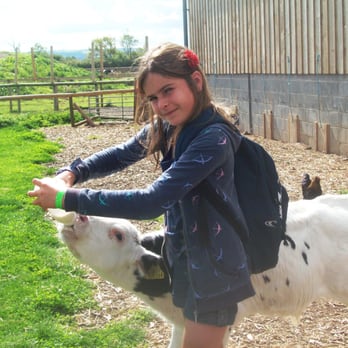 School's Out Henleaze - You can lead a calf to milk and it WILL drink at Puxton Park - Cultural Center Near Me - Bristol, BST