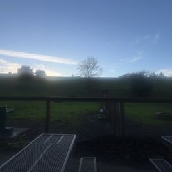 Hercules Dog Park - Small and large dog areas, divided.