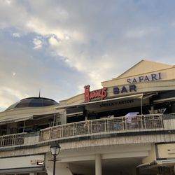 Harrys Bar