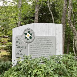 Acadia National Park Tours