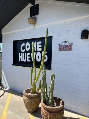 PHX Burrito House by null