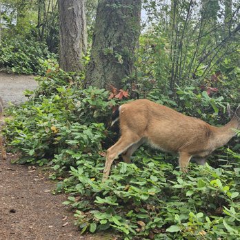 Washington Park - Parks Near Me - Anacortes, Washington