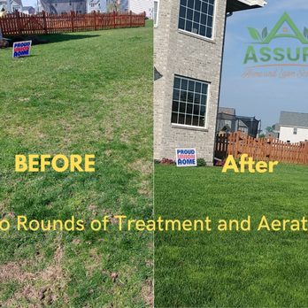 Assure Home and Lawn Solutions - Pictures taken 40 days apart - Lawn Services Near Me Assure Home and Lawn Solutions - Pictures taken 40 days apart - Lawn Services Near Me