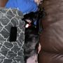Photo of Idaho Humane Society