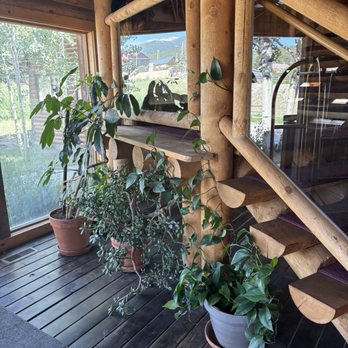 The Boulder Creek Lodge - Loads of plants to make you feel right at home! - Hotels Near Me - Nederland, Colorado The Boulder Creek Lodge - Loads of plants to make you feel right at home! - Hotels Near Me - Nederland, Colorado