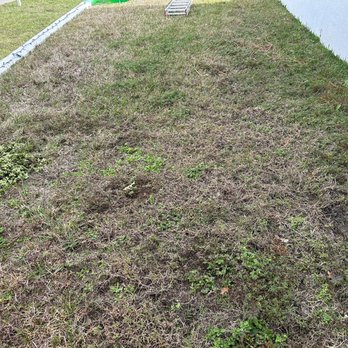 Bates Exterminating - I pay them $45/month for the weed control. Their weed control sucks. - Pest Control Near Me - Fruitland Park, Florida Bates Exterminating - I pay them $45/month for the weed control. Their weed control sucks. - Pest Control Near Me - Fruitland Park, Florida
