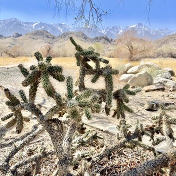 Eastern Sierra Interagency Visitor Center - Visitor Centers Near Me - Lone Pine, California