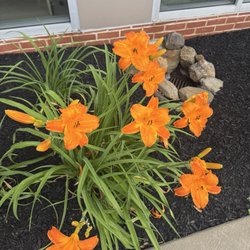 Ridley Township Public Library