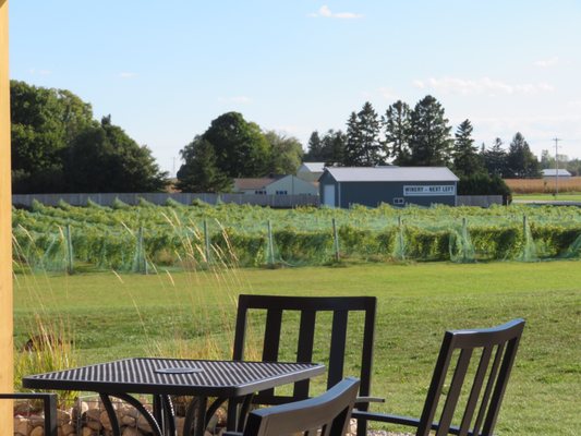 Door 44 Winery by null