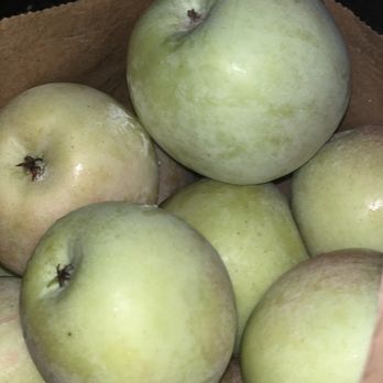 Carter Mountain Orchard - My Fuji apples! I fit 38 in a medium sized bag! - Pick Your Own Farms Near Me - Charlottesville, Virginia
