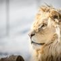 Photo of Zoo Falardeau