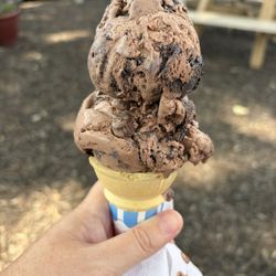 Kids size Michigan Pothole (2 scoops).