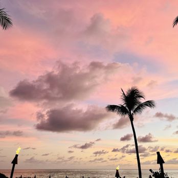 BALEEN Naples - a beach at sunset with palm trees - Seafood Near Me - Naples, Florida