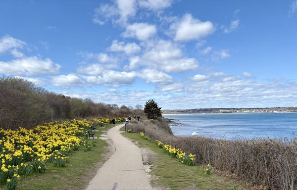 The Chanler at Cliff Walk by null
