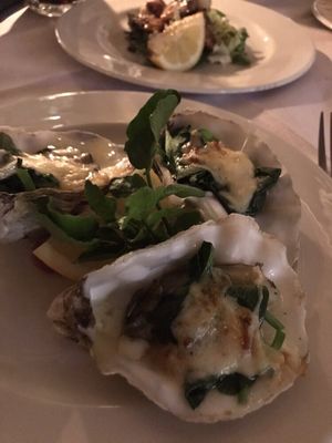Whitstable Oyster Company by null