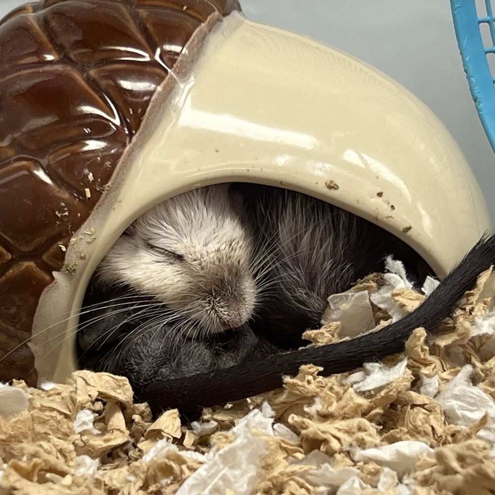 Petco - Pet Stores Near Me - Olympia, Washington Petco - Pet Stores Near Me - Olympia, Washington