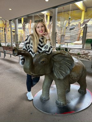 Schönbrunn Zoo by null