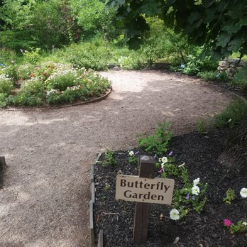 Dinosaur State Park - Outside the dinosaur museum they have an awesome little Butterfly garden. When we went they had a few. - Hiking Near Me - Rocky Hill, Connecticut Dinosaur State Park - Outside the dinosaur museum they have an awesome little Butterfly garden. When we went they had a few. - Hiking Near Me - Rocky Hill, Connecticut