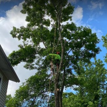 Blake's Tree Service - Tree Services Near Me - Norfolk, Virginia