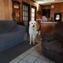 Photo of Langston Veterinary Clinic