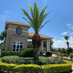 Greengold Tree Service
