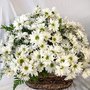 Photo of Joyce's Florist