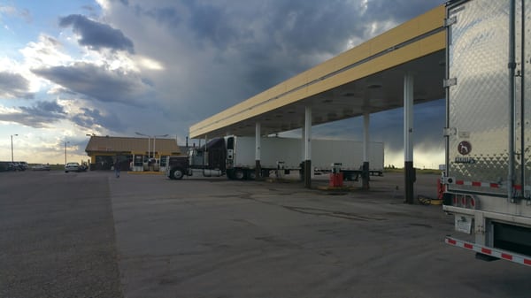 Antelope Truck Stop Pronghorn by null