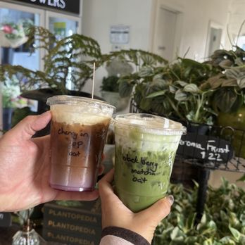 Vine Garden & Gift - Coffee & Tea Near Me - Toms River, New Jersey Vine Garden & Gift - Coffee & Tea Near Me - Toms River, New Jersey