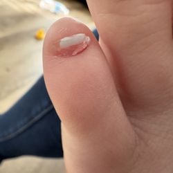 Pro Nails