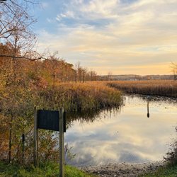 Pinckney Recreation Area