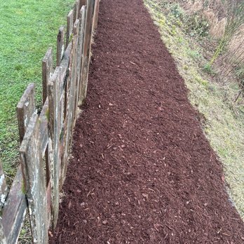 Professional Brothers Landscaping - Cleaned up overgrowth - Landscaping Near Me - Kent, Washington