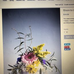 What I ordered on their website? What I ordered on their website?