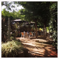 The Fig Coffee House - The layout