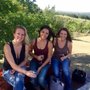 Photo of Pointe Of View Winery