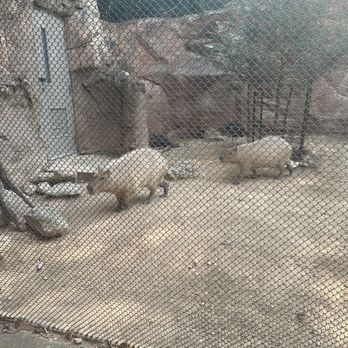 Cameron Park Zoo - Zoos Near Me - Waco, Texas Cameron Park Zoo - Zoos Near Me - Waco, Texas