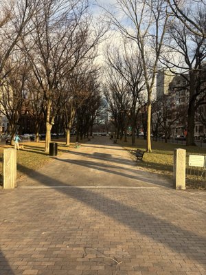 Commonwealth Avenue Mall by null