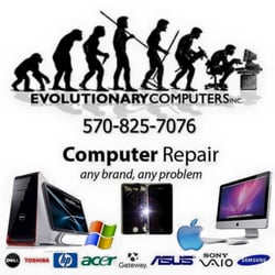 Evolutionary Computers