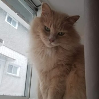 Healthy Pets HQ - Gimli (formerly known as Orange) - Pet Stores Near Me
