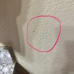 Quality Inn - Two spots of food or vomit.