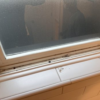 Four Seasons Professional Cleaning - Dirty window sills - Home Cleaning Near Me - Bothell, Washington Four Seasons Professional Cleaning - Dirty window sills - Home Cleaning Near Me - Bothell, Washington
