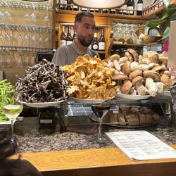 Ganbara - Variety of mushrooms