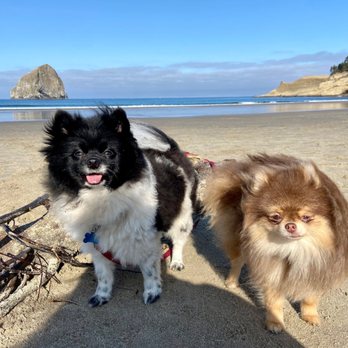 Cape Kiwanda RV Park - Beauty of Pacific City - RV Parks Near Me - Pacific City, Oregon Cape Kiwanda RV Park - Beauty of Pacific City - RV Parks Near Me - Pacific City, Oregon