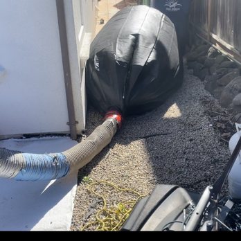 ASAP Rodent Exclusion Pro - One of many vacuum bags which be consumed removing waste material - Insulation Installation Near Me - Oakland, California